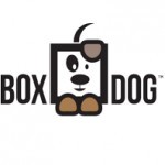 BoxDog