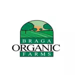 Buy Organic Nuts