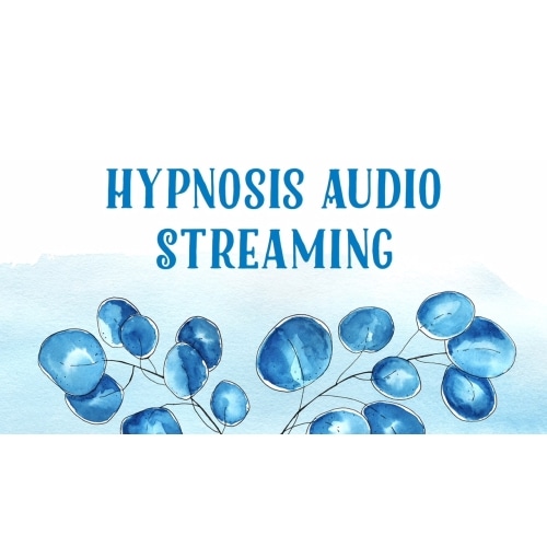 Streaming Contentshelf